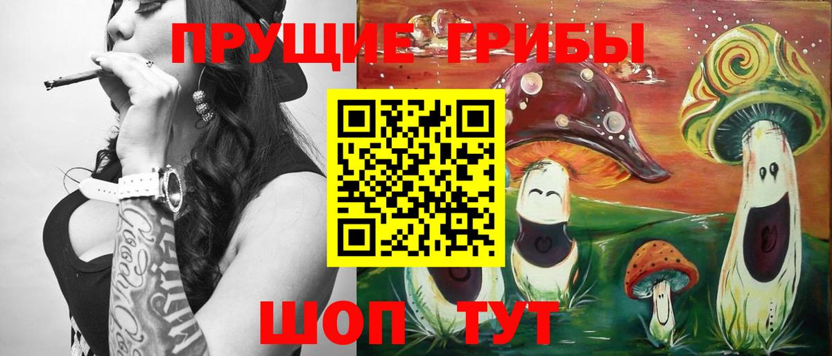 Псилоцибиновые грибы Cubensis  Вход с VPN  Нижний Тагил 